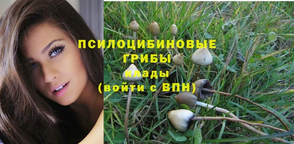 ешки Абдулино