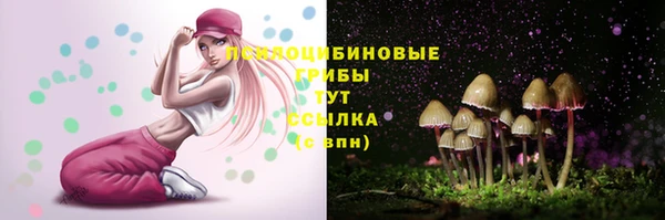 ешки Абдулино